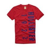 CAMISETA HOLLISTER ( G )