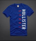 CAMISETA HOLLISTER ( G )