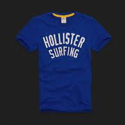 CAMISETA HOLLISTER ( G )